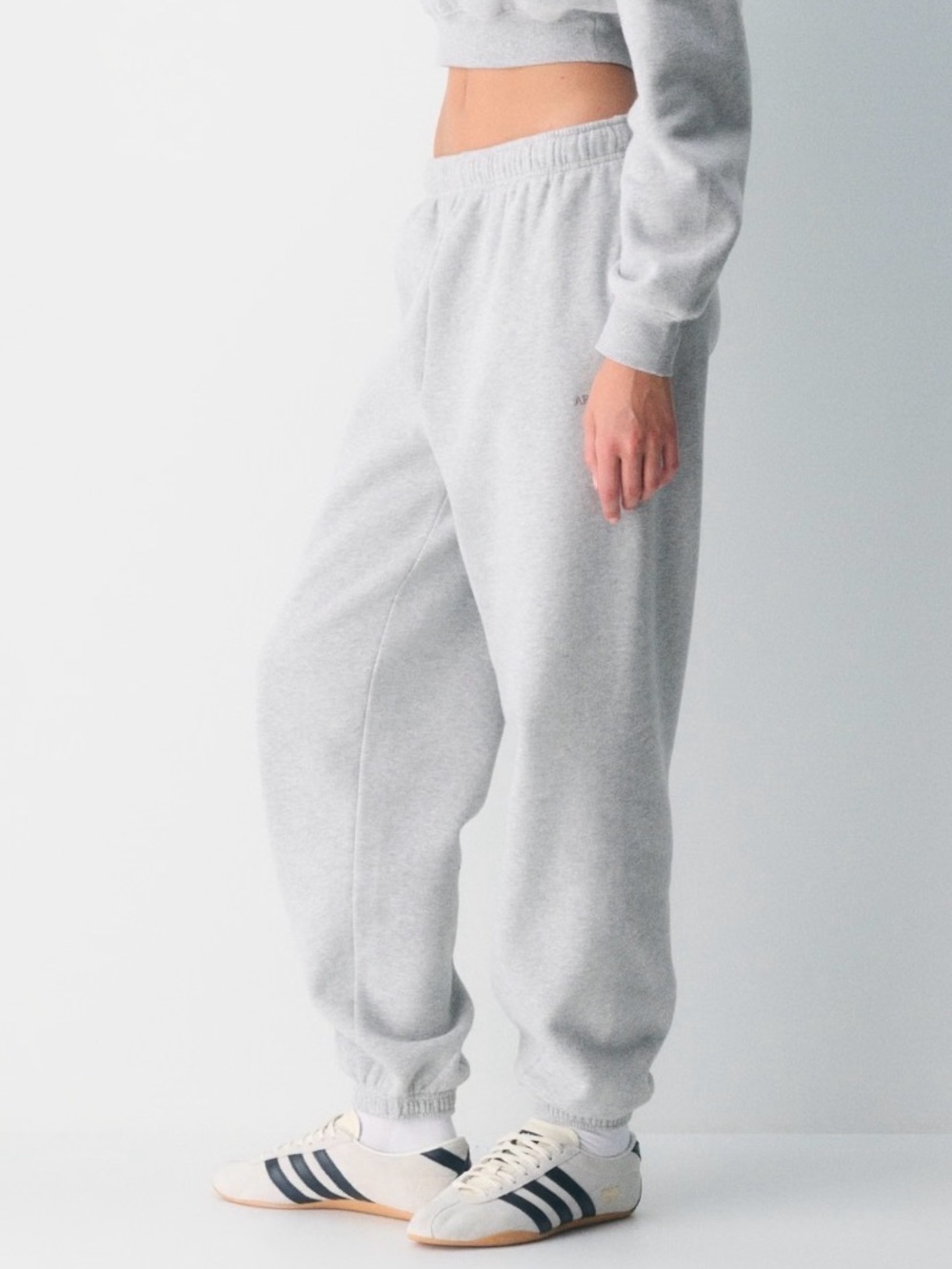 Aritzia Gray Joggers S